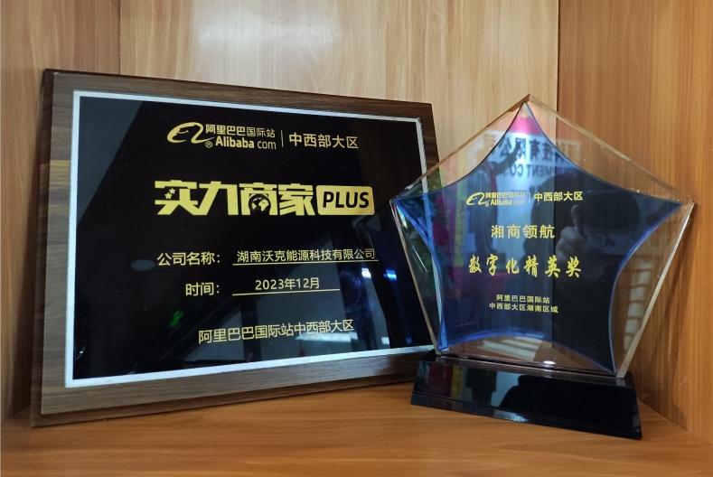 乘風破浪,逆勢出海|沃克能源獲阿里巴巴中西部大區(qū)數(shù)字化精英獎！